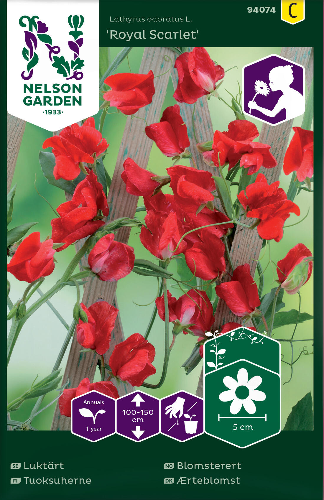 Flower Pea 'Royal Scarlet'